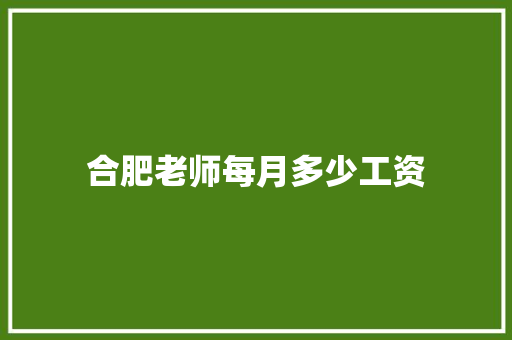 合肥老师每月多少工资 未命名