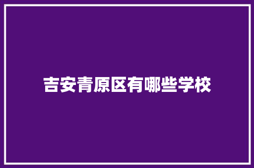 吉安青原区有哪些学校