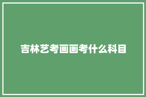 吉林艺考画画考什么科目 未命名