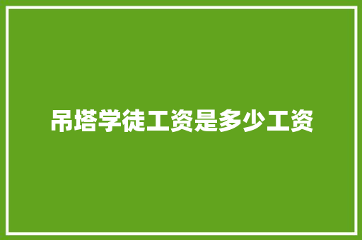 吊塔学徒工资是多少工资