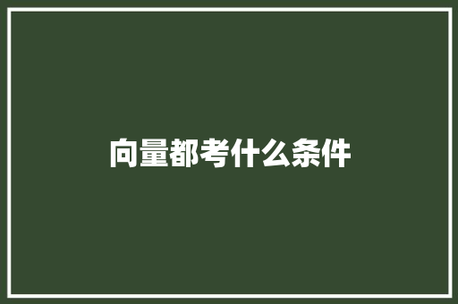 向量都考什么条件