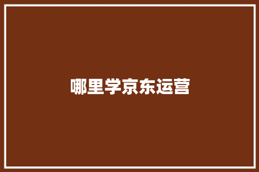 哪里学京东运营