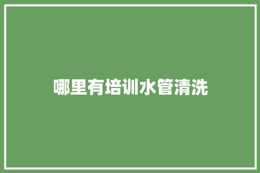 哪里有培训水管清洗 未命名