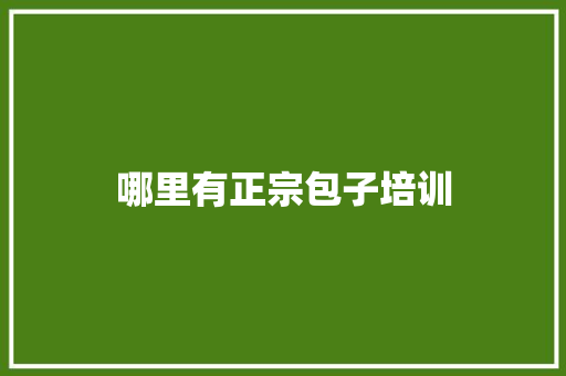 哪里有正宗包子培训 未命名