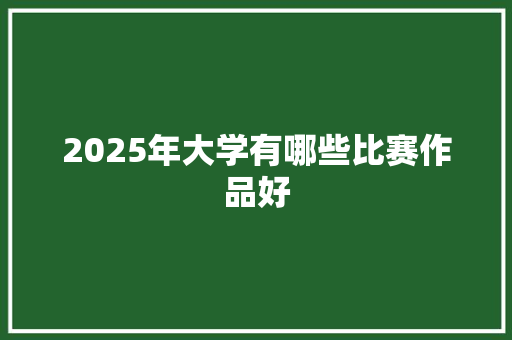 2025年大学有哪些比赛作品好 未命名