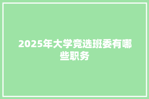 2025年大学竞选班委有哪些职务 未命名