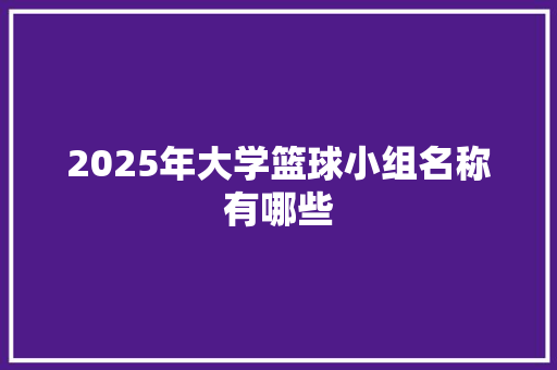 2025年大学篮球小组名称有哪些