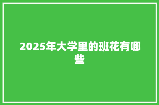 2025年大学里的班花有哪些 未命名