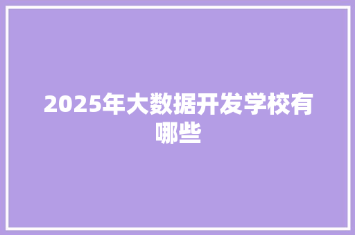 2025年大数据开发学校有哪些 未命名