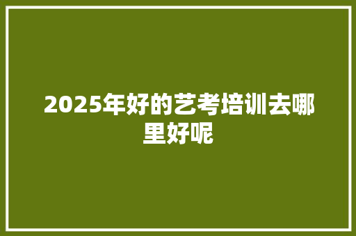 2025年好的艺考培训去哪里好呢