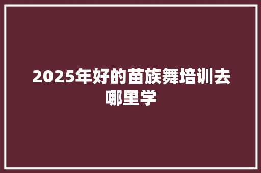 2025年好的苗族舞培训去哪里学