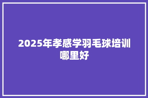 2025年孝感学羽毛球培训哪里好 未命名