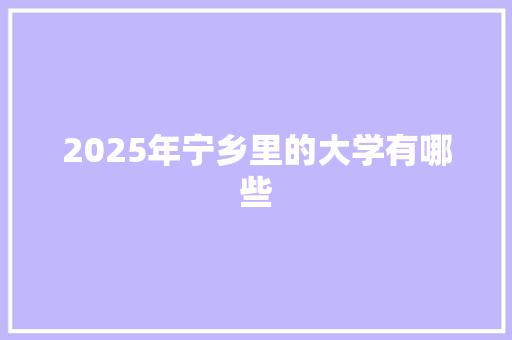 2025年宁乡里的大学有哪些