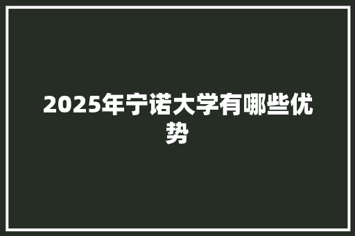 2025年宁诺大学有哪些优势