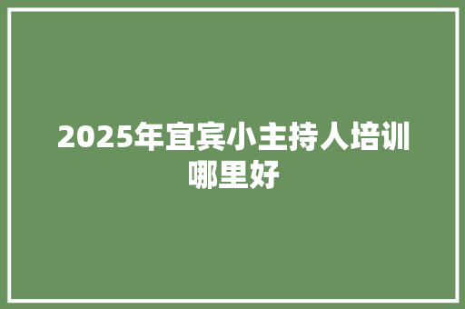 2025年宜宾小主持人培训哪里好 未命名