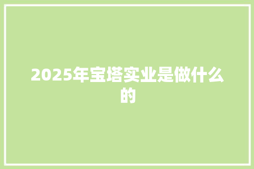 2025年宝塔实业是做什么的 未命名