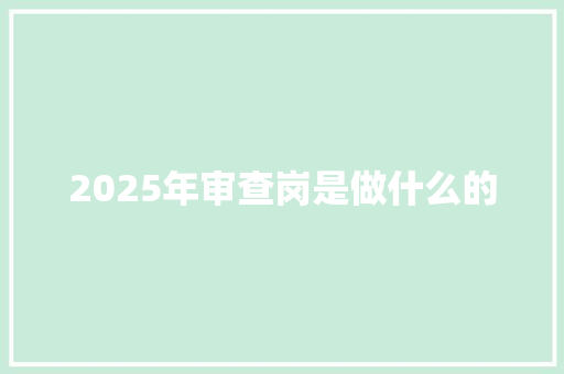 2025年审查岗是做什么的