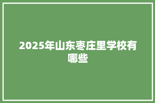 2025年山东枣庄里学校有哪些 未命名