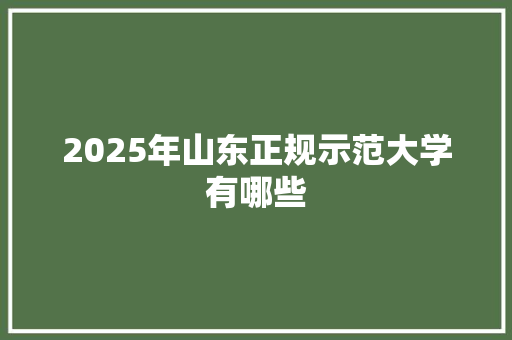 2025年山东正规示范大学有哪些 未命名