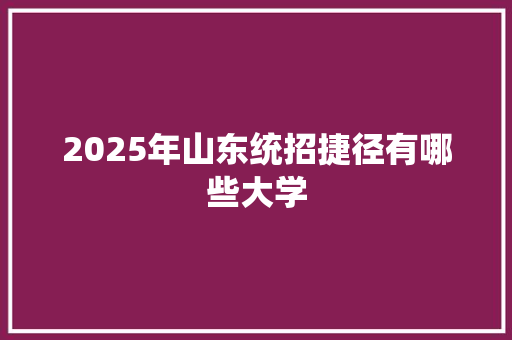 2025年山东统招捷径有哪些大学