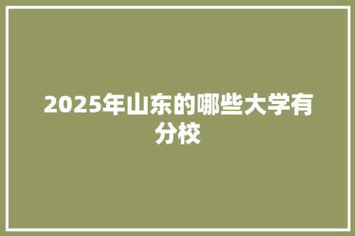 2025年山东的哪些大学有分校 未命名