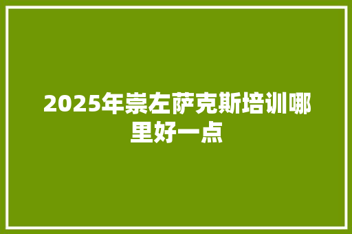 2025年崇左萨克斯培训哪里好一点