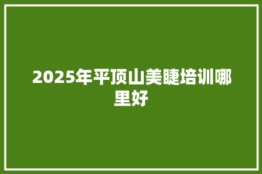 2025年平顶山美睫培训哪里好