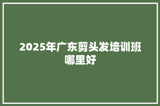 2025年广东剪头发培训班哪里好 未命名