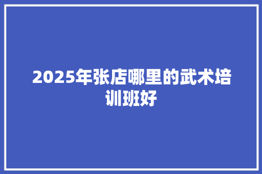 2025年张店哪里的武术培训班好 未命名