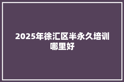 2025年徐汇区半永久培训哪里好