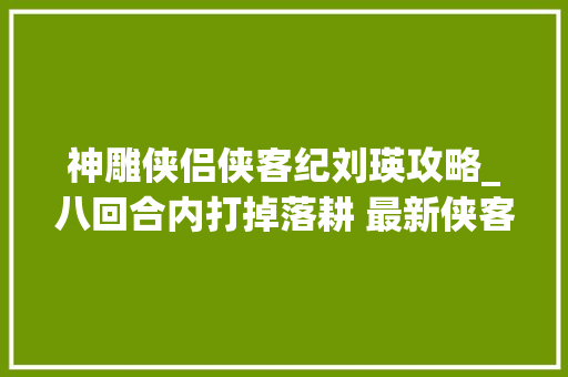 神雕侠侣侠客纪刘瑛攻略_八回合内打掉落耕 最新侠客纪刘瑛传打法解读 会议纪要范文