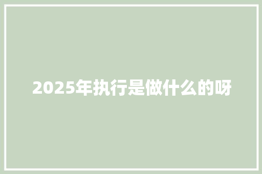 2025年执行是做什么的呀 未命名