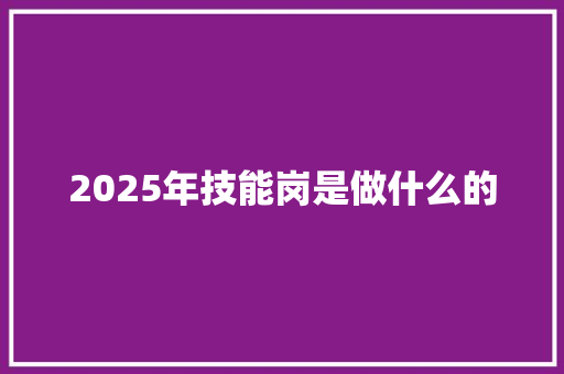 2025年技能岗是做什么的