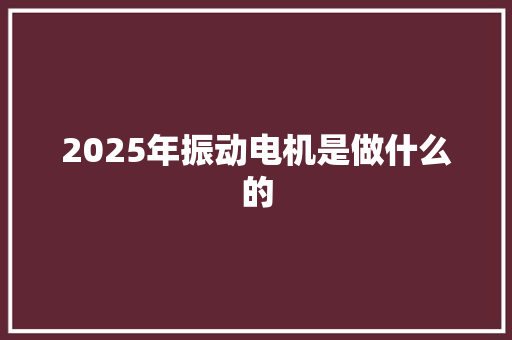 2025年振动电机是做什么的