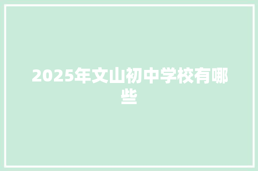 2025年文山初中学校有哪些 未命名