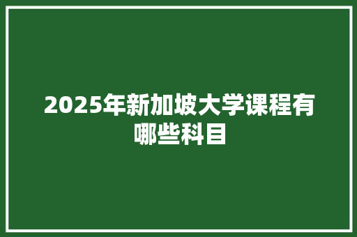 2025年新加坡大学课程有哪些科目 未命名