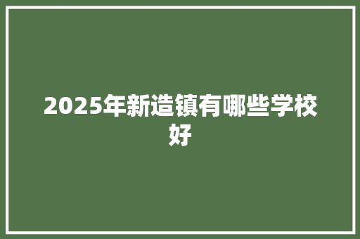 2025年新造镇有哪些学校好