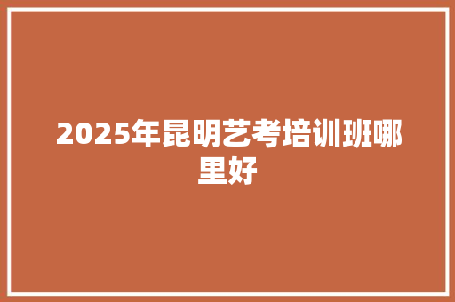 2025年昆明艺考培训班哪里好 未命名