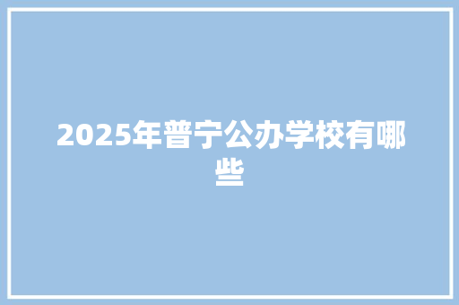 2025年普宁公办学校有哪些