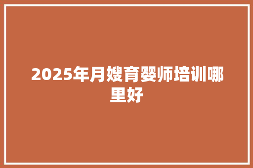 2025年月嫂育婴师培训哪里好 未命名