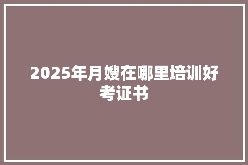 2025年月嫂在哪里培训好考证书 未命名