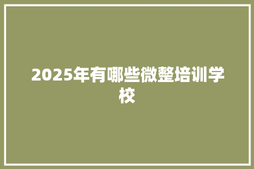 2025年有哪些微整培训学校