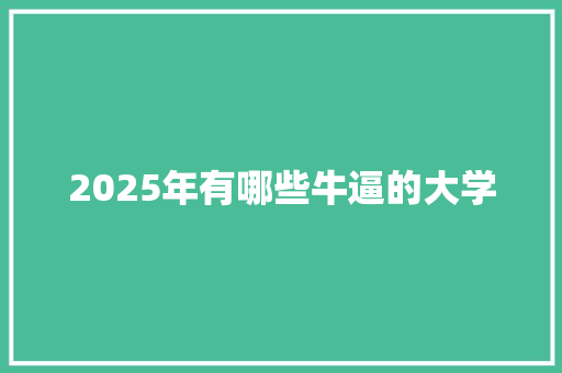 2025年有哪些牛逼的大学 未命名