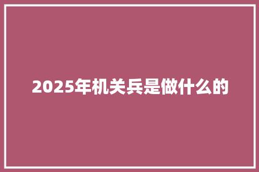 2025年机关兵是做什么的