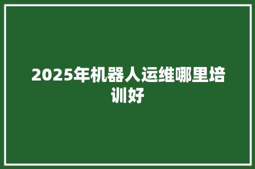 2025年机器人运维哪里培训好 未命名