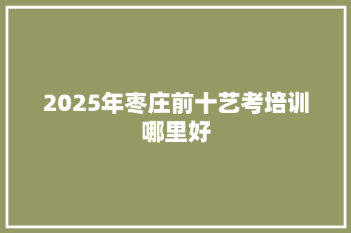 2025年枣庄前十艺考培训哪里好 未命名