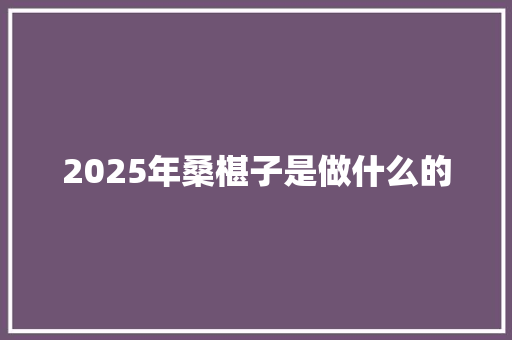 2025年桑椹子是做什么的