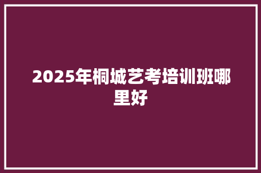 2025年桐城艺考培训班哪里好