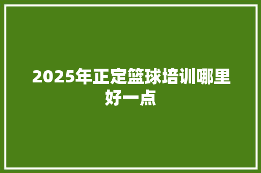 2025年正定篮球培训哪里好一点 未命名