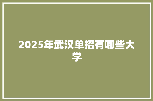 2025年武汉单招有哪些大学 未命名